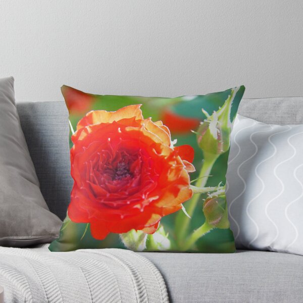 Item preview, Miniature rose designed and sold by Darren Speedie.