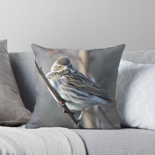 Item preview, Reed Bunting designed and sold by dilouise.