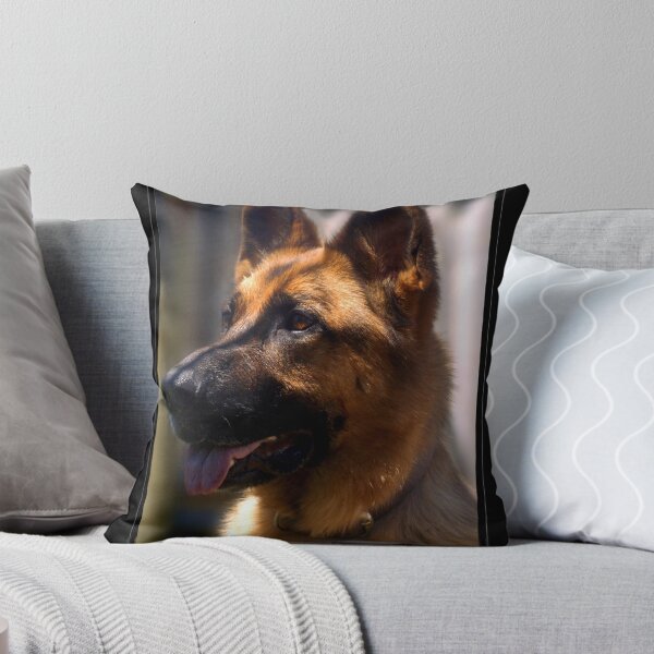 Item preview, Dexter designed and sold by KStudios.