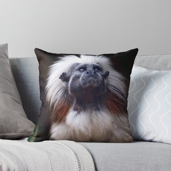 Item preview, Cotton-top Tamarin designed and sold by Extraordinary Light.