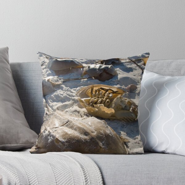 Item preview, Di-shelled designed and sold by Michael Damanski.