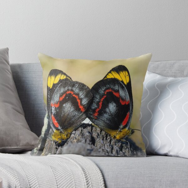 Item preview, Jezabel Butterfies Mating designed and sold by pcbermagui.