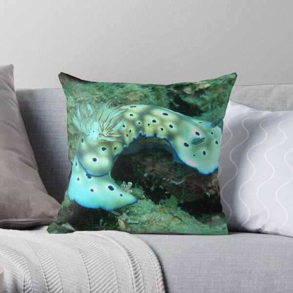 Risbecia Curve Throw Pillow