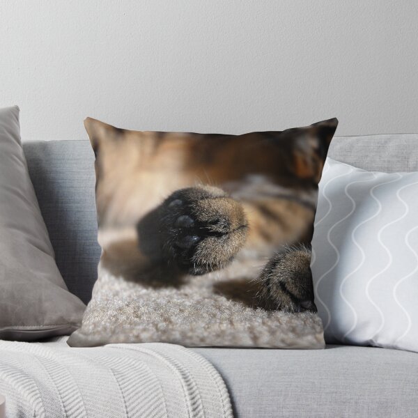 Item preview, Focus On The Paw....The Back Paw designed and sold by jodi payne.
