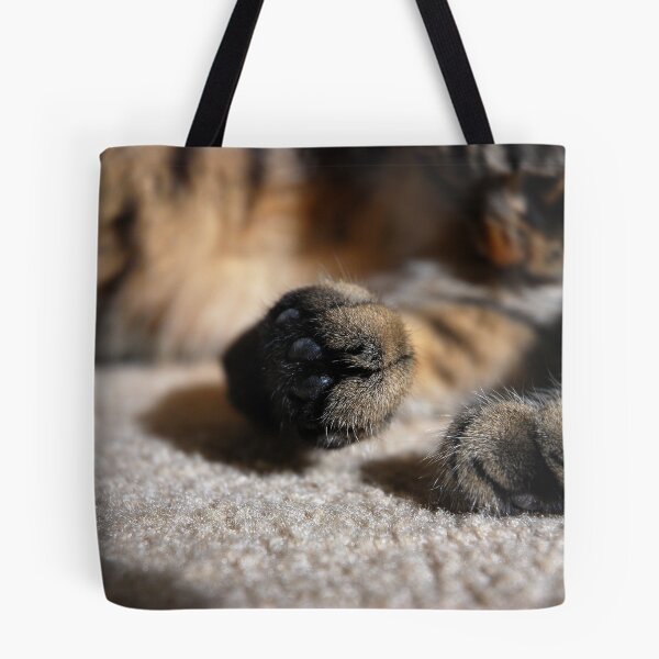 Item preview, Focus On The Paw....The Back Paw designed and sold by jodi payne.