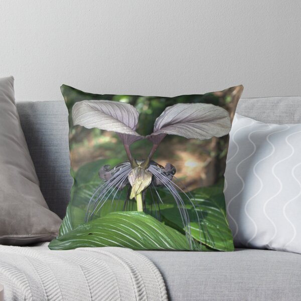 Item preview, White Bat Flower (Tacca integrifolia) designed and sold by tonysphotospot.