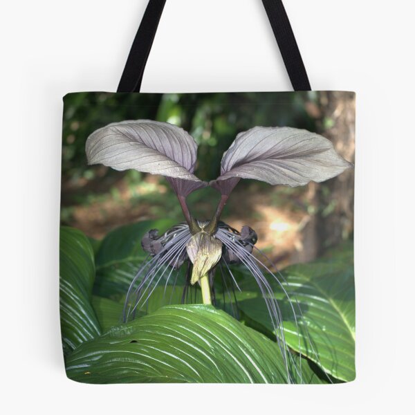 Item preview, White Bat Flower (Tacca integrifolia) designed and sold by tonysphotospot.