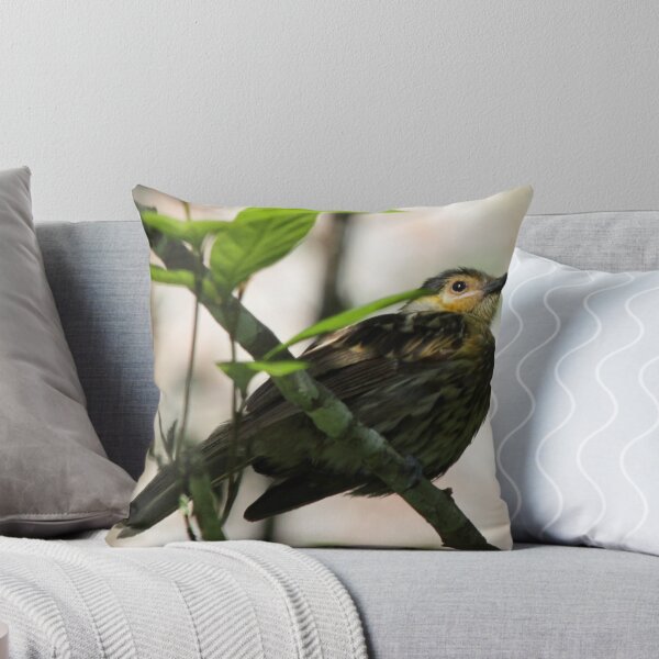 Item preview, Macleay's Honeyeater designed and sold by triciaoshea.