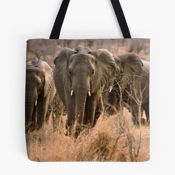 Item preview, "For the love of elephants" - African elephant (Loxodonta africana) designed and sold by Sandy Beaton.