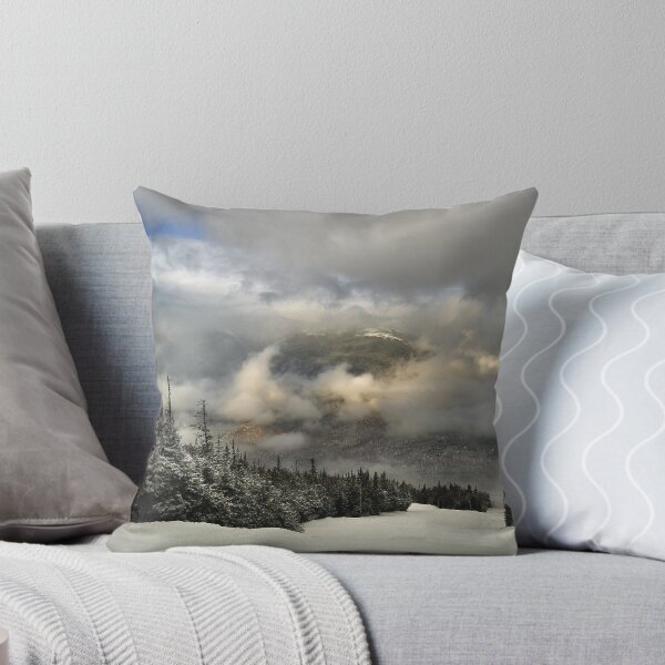 Item preview, View from summit of Bretton woods ski area designed and sold by Anton Oparin.