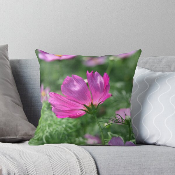 Aperçu de l'œuvre Cosmos Flower 7142 créée et vendue par ThomasMurphy.