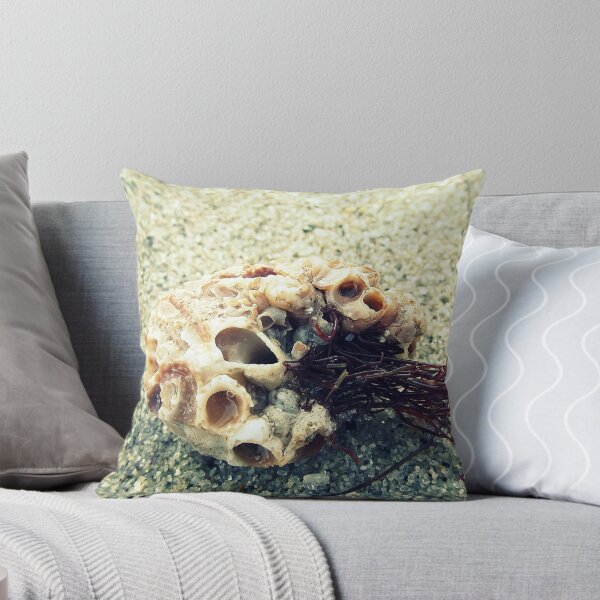 Item preview, SHELLED ARTERY designed and sold by Laura E  Shafer.