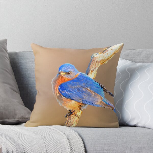 Item preview, Eastern Bluebird at Dawn designed and sold by Nancy Barrett.