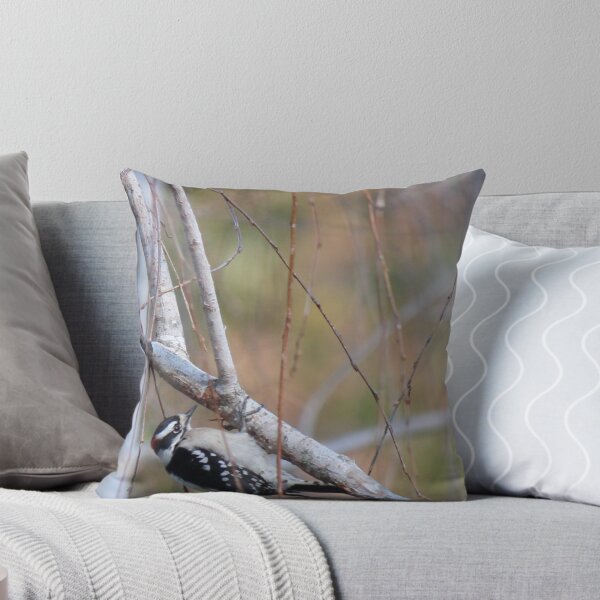 Item preview, Woodpecker designed and sold by Bob Hardy.