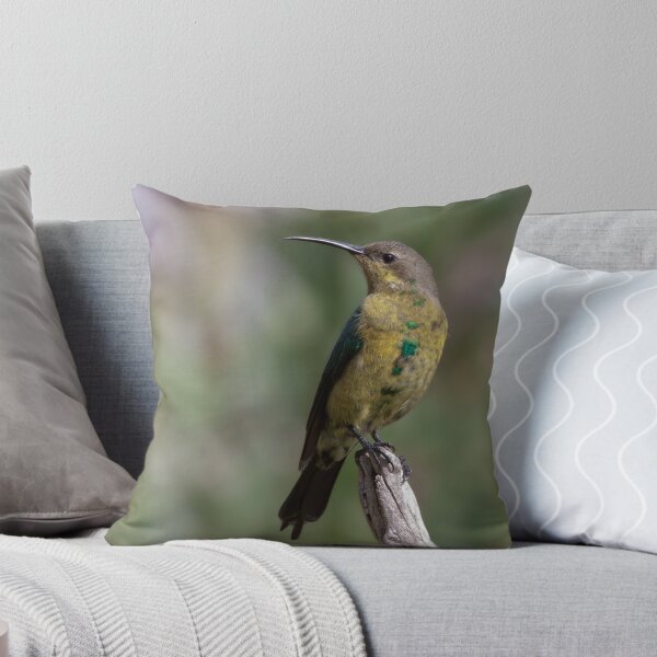 Artikelvorschau, Malachite Sunbird Male entworfen und verkauft von Lamprecht.