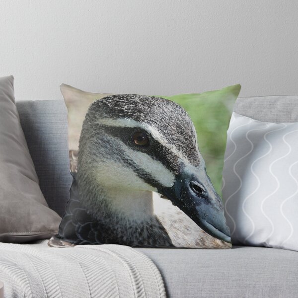 Item preview, Curiosity.... designed and sold by cathywillett.
