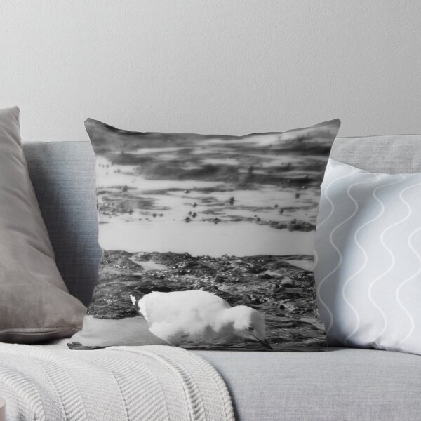 Item preview, Newcastle Beach Gull designed and sold by Daniel Rankmore.