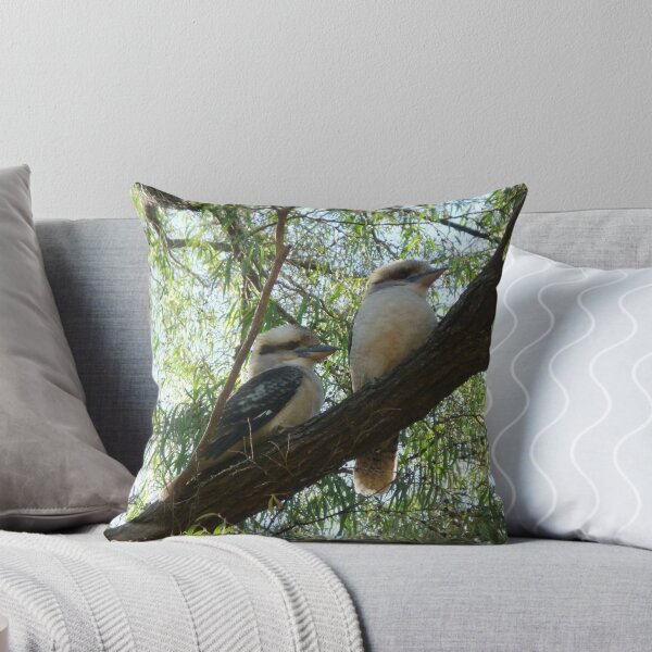 Artikelvorschau, Kookaburra sitzt im alten Gummibaum entworfen und verkauft von peterthompson.