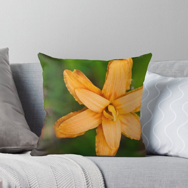 Item preview, marysville_flower_1 designed and sold by abocNathan.