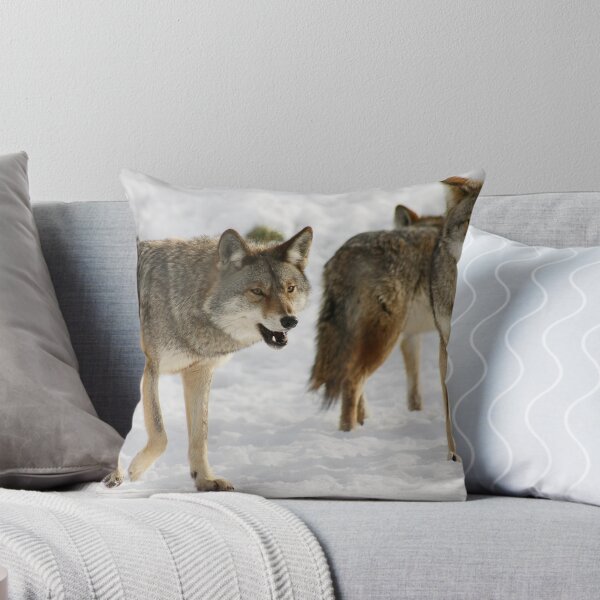 Item preview, Coyotes designed and sold by Carole Brunet.