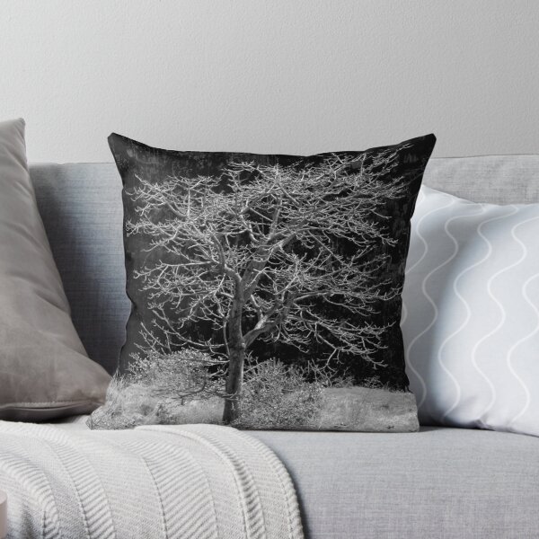 A Bare Tree in Autumn Throw Pillow