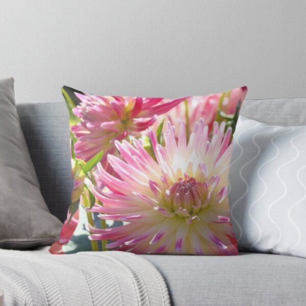 Artikelvorschau, Floral art prints Pink White Sunlit Dahlia Flowers entworfen und verkauft von BasleeArtPrints.