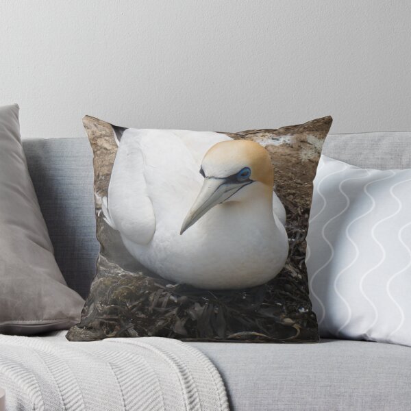 Item preview, gannet nesting designed and sold by Anne Scantlebury.