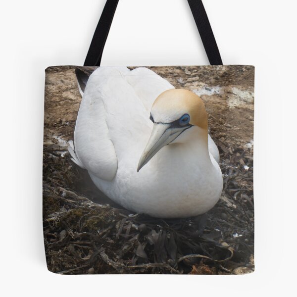 Item preview, gannet nesting designed and sold by Anne Scantlebury.