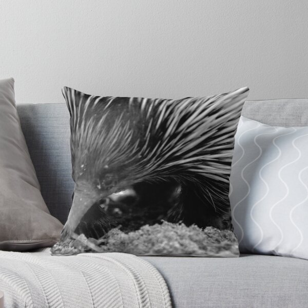 Item preview, North Head Manly - echidna designed and sold by miroslava.