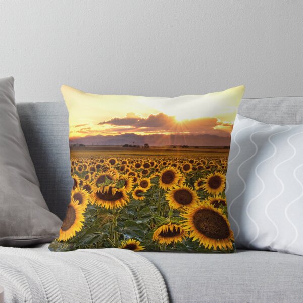 Item preview, Evenings Of Augusts Past designed and sold by John  De Bord Photography.