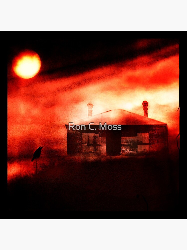 Outback Heat by ronmoss