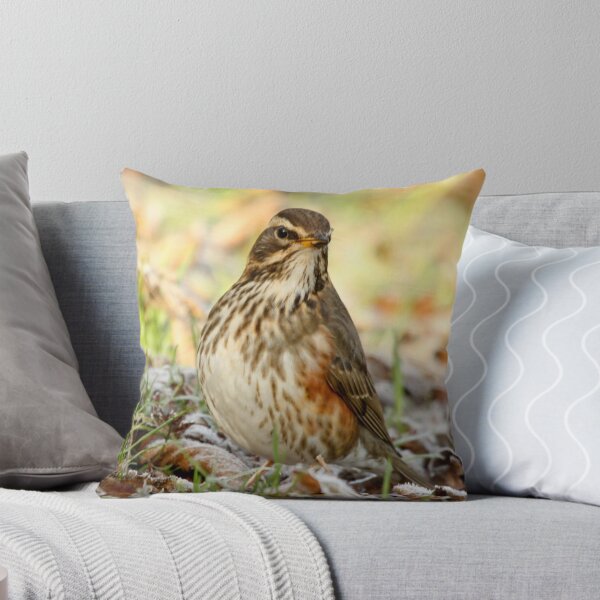 Item preview, Wintering Redwing designed and sold by Robert Abraham.