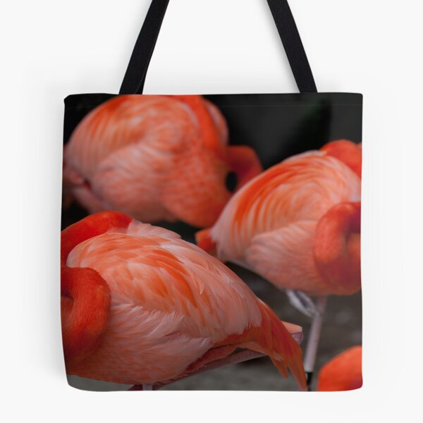 Artikelvorschau, Caribbean Flamingos entworfen und verkauft von michaelpartis.