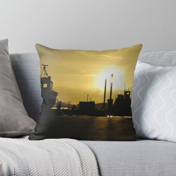painter's dream Throw Pillow