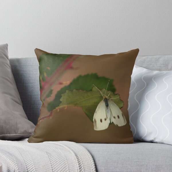 Item preview, White Butterfly at the Kirk designed and sold by Paul Campbell  Photography.