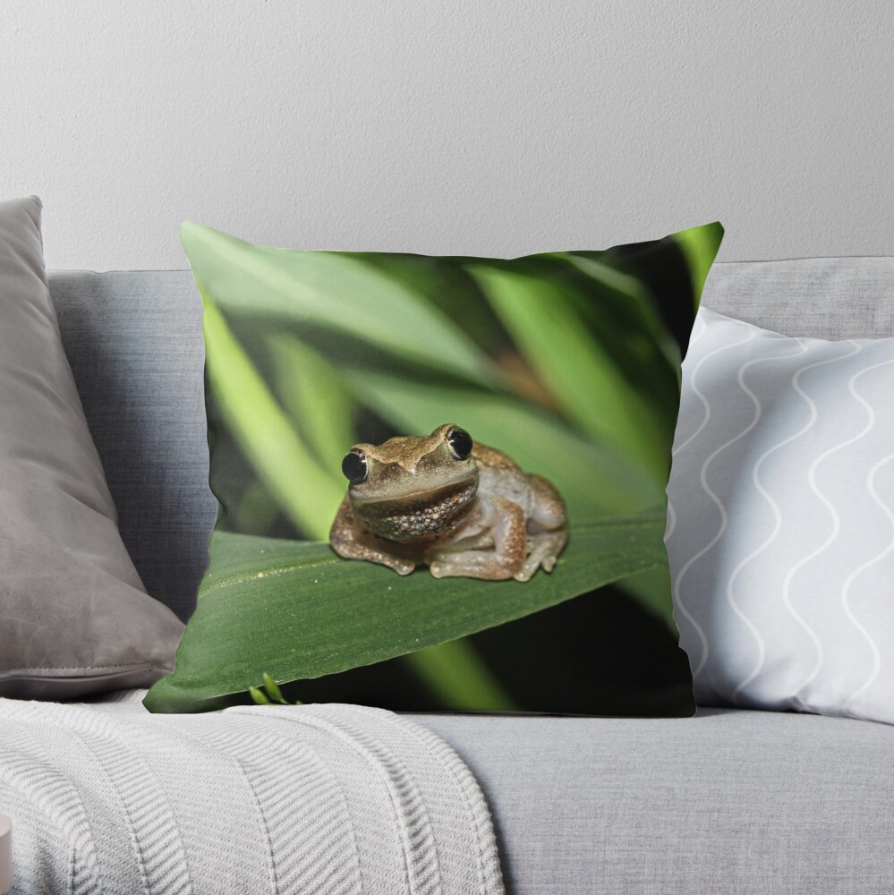 Hello Frog Throw Pillow