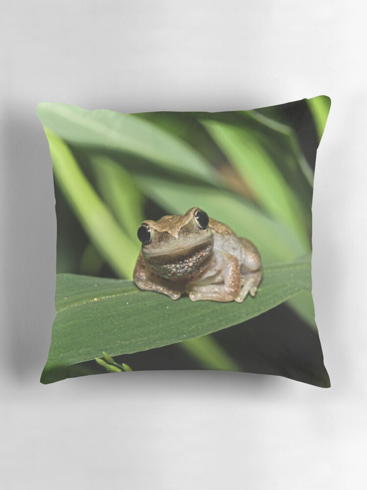 Thumbnail 3 of 4, Pillow, Hello Frog designed and sold by theoddshot.