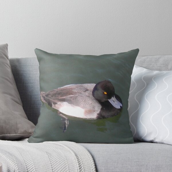 Item preview, Wintering Lesser Scaup designed and sold by Navigator.