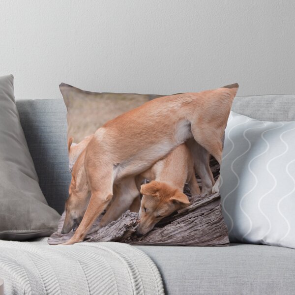 Item preview, Dingo`s at play designed and sold by doug hunwick.