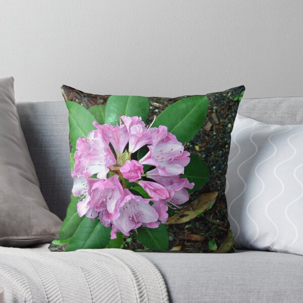 Artikelvorschau, Delicate Rhododendron petals entworfen und verkauft von Jane Neill-Hancock.