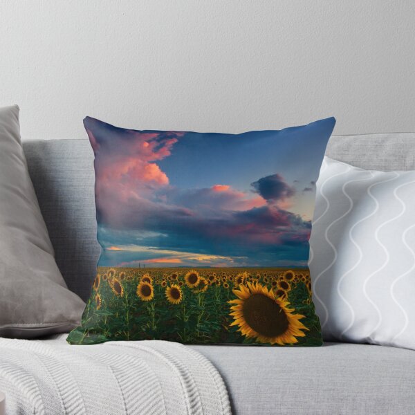 Item preview, Skies Of A Summer Sunset designed and sold by John  De Bord Photography.