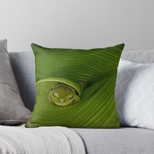 Aperçu de l'œuvre Grenouille en feuille de bananier créée et vendue par Trevor Farrell.