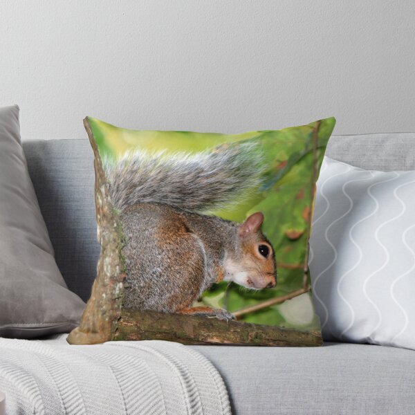 Artikelvorschau, Squirrel in a tree entworfen und verkauft von honestyS2.