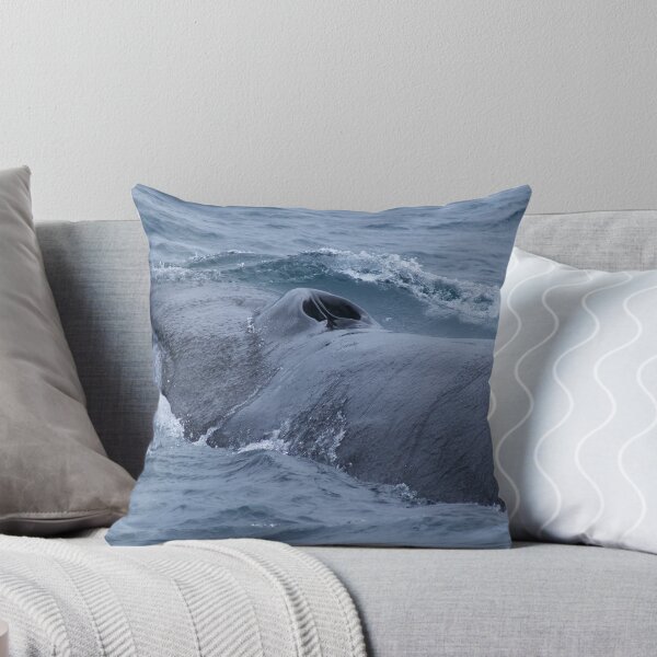 Item preview, Diving Fin Back Whale designed and sold by JasPeRPhoto.