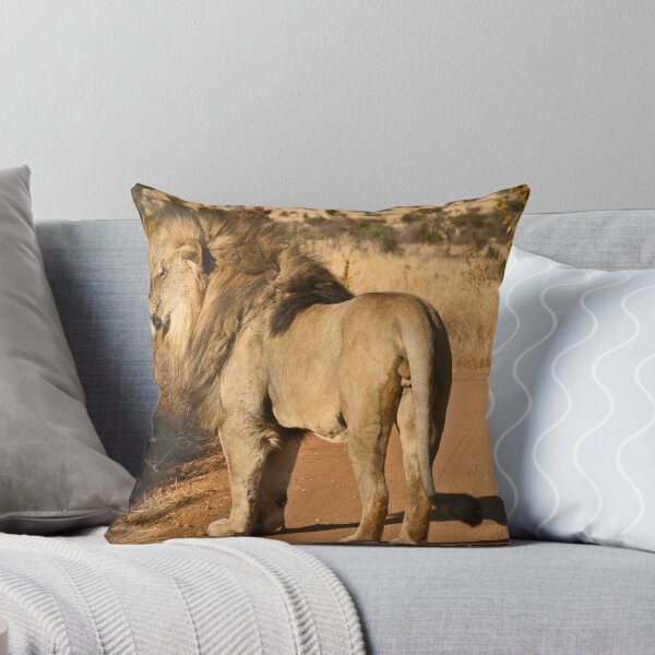 Item preview, Lion walking on a road in game reserve designed and sold by Heather  McCann.