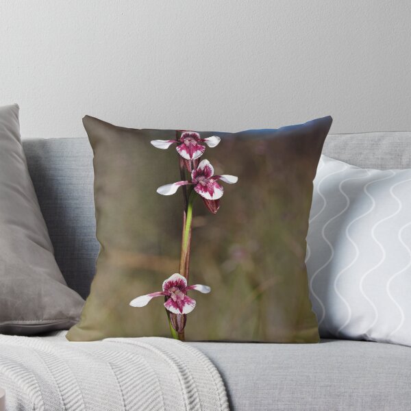 Item preview, Diuris venosa designed and sold by Colin12.