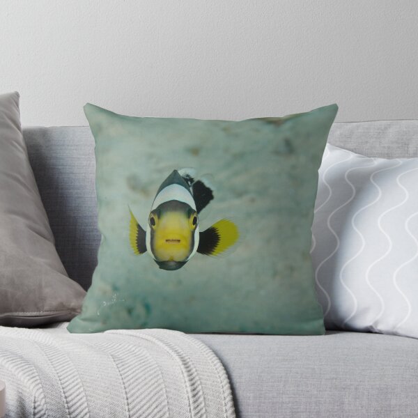 Juvenile saddleback anemonefish - Amphiprion polymnus Throw Pillow