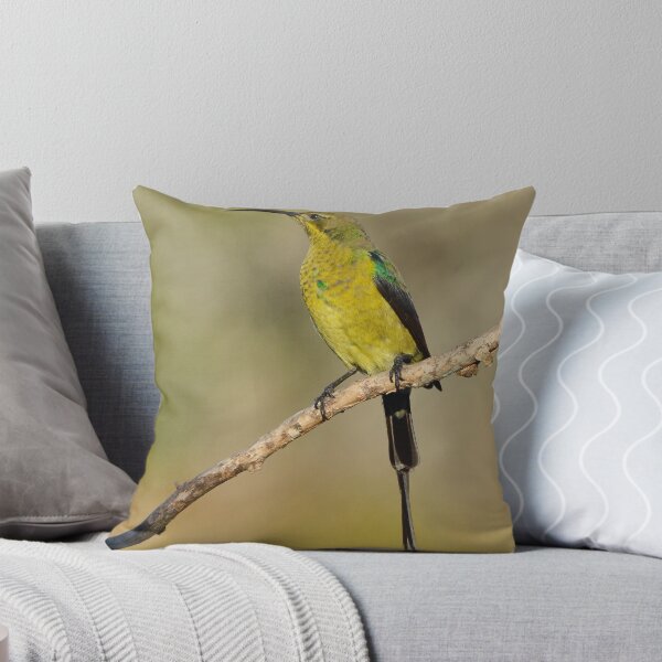 Item preview, Sunbird designed and sold by Macky.