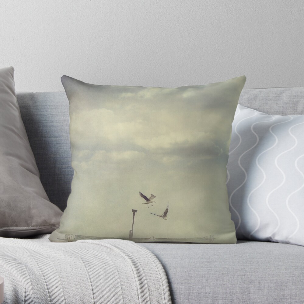 Flight Throw Pillow