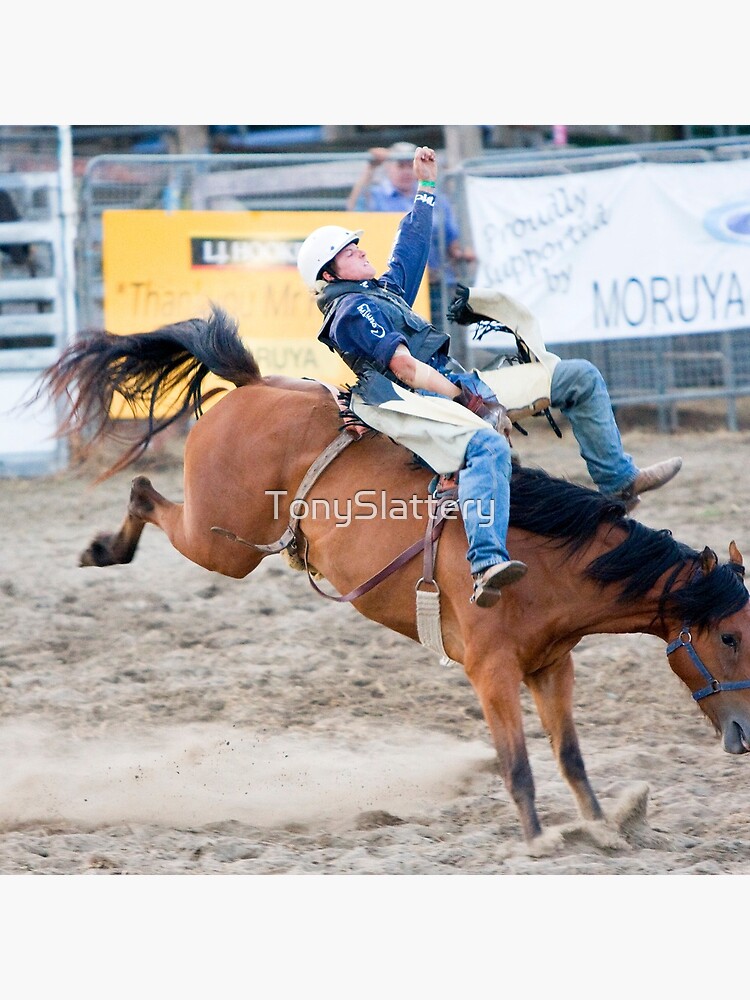 Moruya Rodeo New Years Day 2012 by TonySlattery